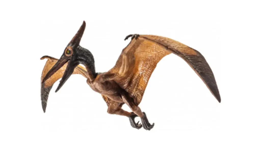 Modèle de Ptéranodon grandeur nature au Dinoparc de La Ronde