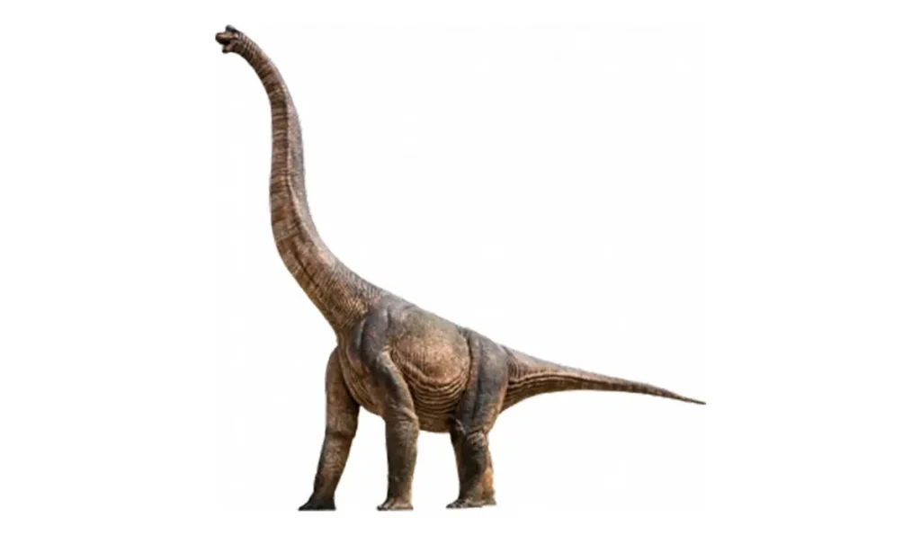 Modèle de Brachiosaure grandeur nature au Dinoparc de La Ronde