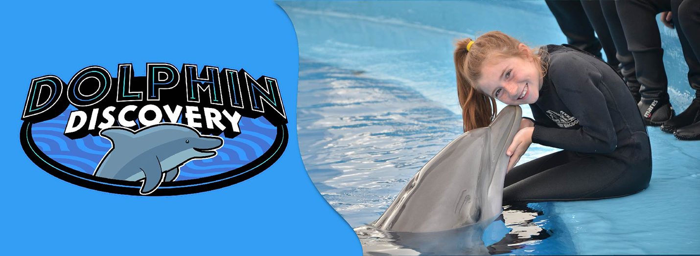 Buy Dolphin Encounter and Discovery Tickets - Special Price 2023